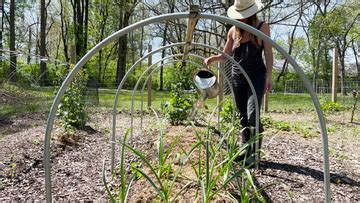 Why I Garden This Way Every Day 